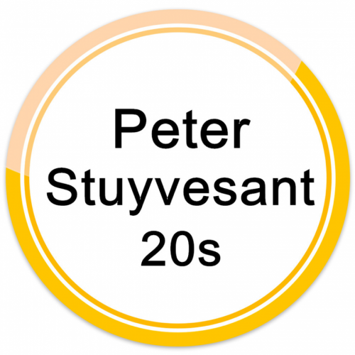 PETER STUYVESANT 20s/25s