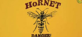 HORNET