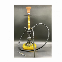 Cloud Hookah Kit 2023 H56CM with 2 Hose Adapters