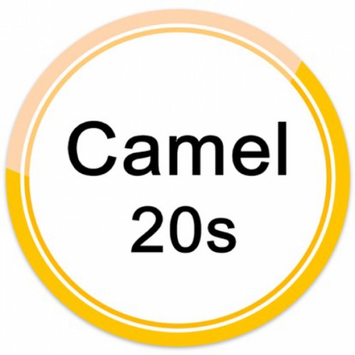 CAMEL 20s
