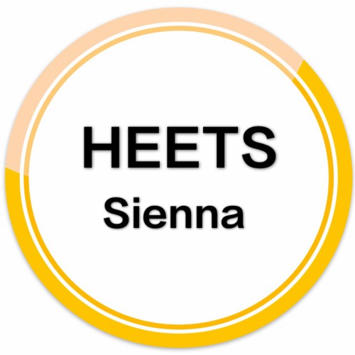 HEETS Sienna 20s