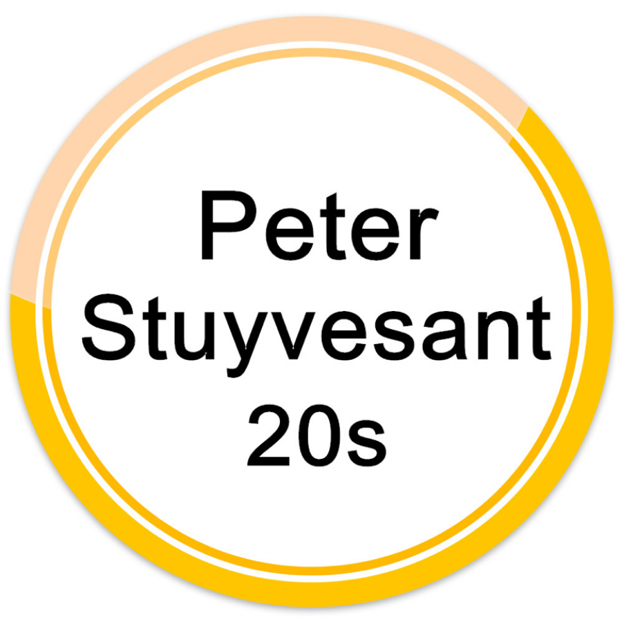 PETER STUYVESANT 20s/25s