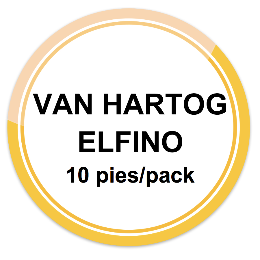 VAN HARTOG ELFINO 10S